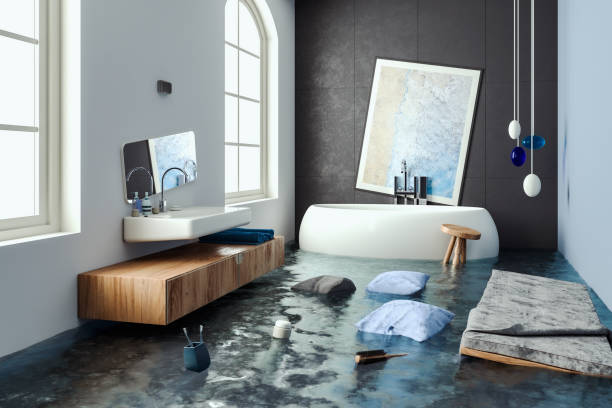  Dassel, MN Water damage restoration Pros