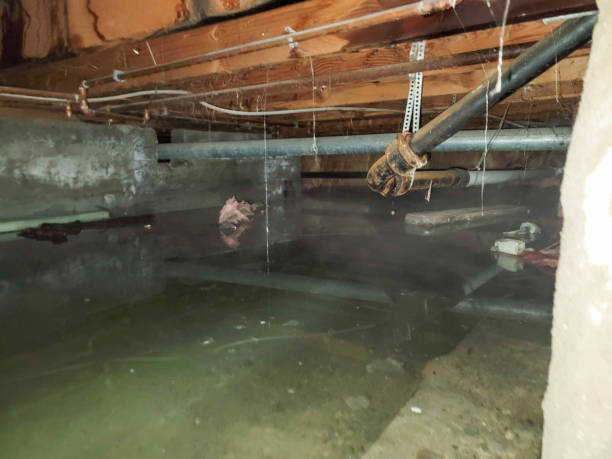 Sewage cleanup and water damage restoration in Dassel, MN