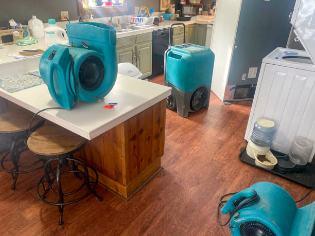 Best Ceiling water damage repair  in Dassel, MN