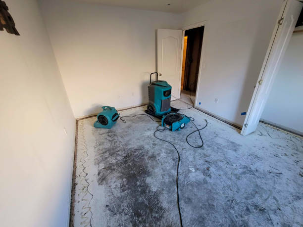 Best Residential water damage restoration  in Dassel, MN