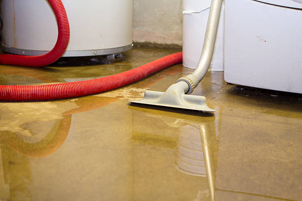Reliable Dassel, MN Water damage restoration Solutions
