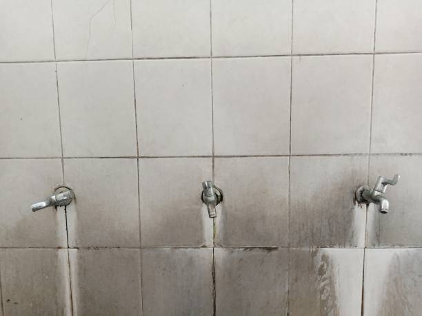 Best Commercial water damage restoration  in Dassel, MN